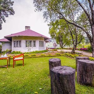 Arivikad Tea Bungalow Munnar By Voye Homes
